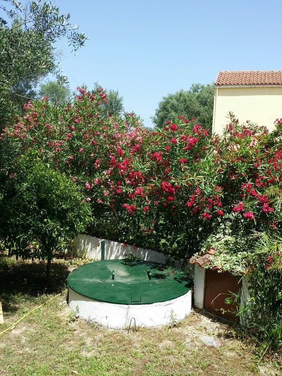 Villa Helena Kávos Екстериор снимка